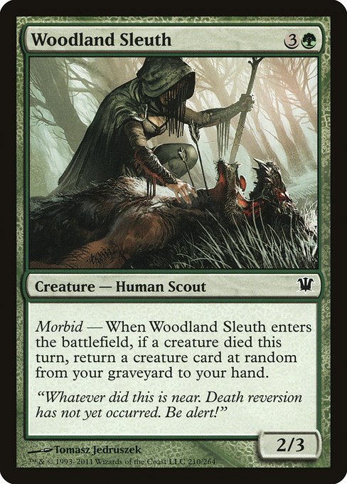 Woodland Sleuth (210) (Foil) - Innistrad - Game On