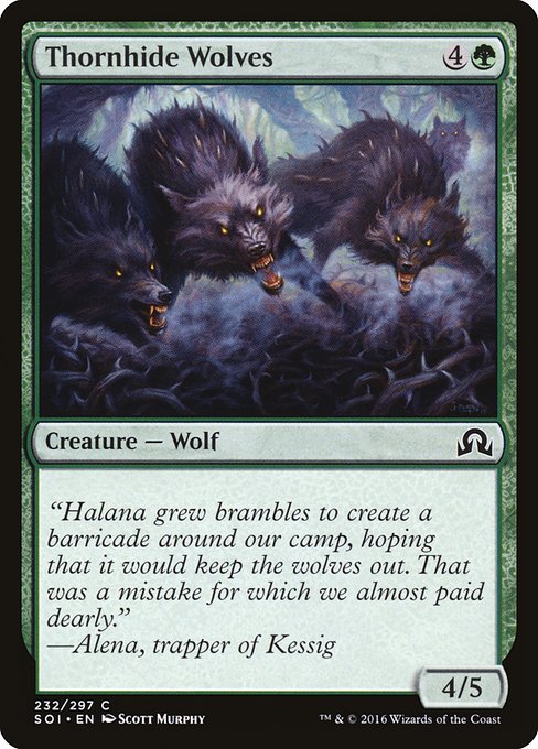 Thornhide Wolves (232) (Foil) - Shadows over Innistrad - Game On